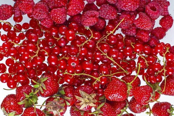 Bagas Verão Vermelhas Frescas Morango Framboesa Groselha Vermelha Fundo Branco — Fotografia de Stock