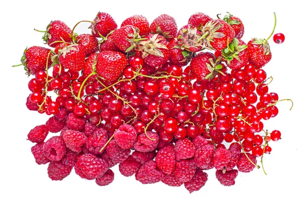 Frische Rote Sommerbeeren Erdbeere Himbeere Und Rote Johannisbeere Auf Weißem — Stockfoto