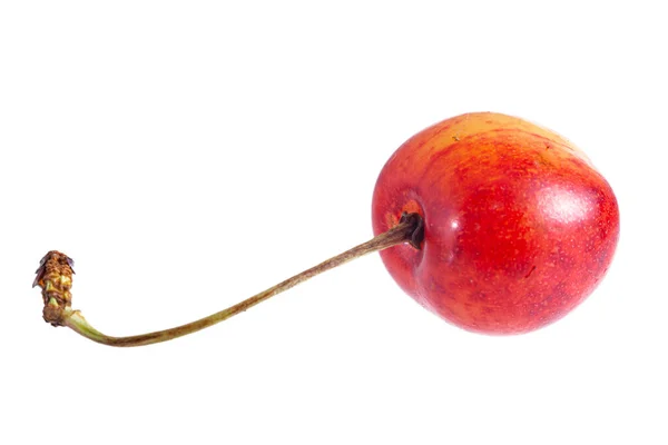 Verse Zomer Rijp Geel Met Rode Zoete Kers Geïsoleerd — Stockfoto