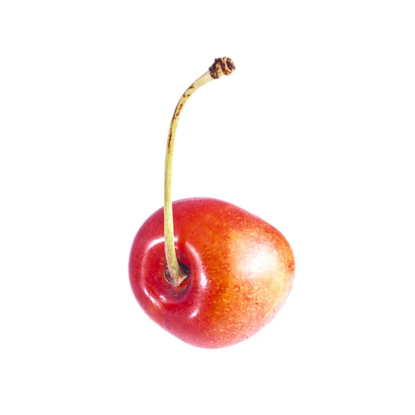Fresh Summer Ripe Yellow Red Sweet Cherry Isolated — Stock Photo, Image