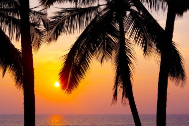 Varkala 'da gün batımına karşı avuç içi siluetleri. Kerala, Hindistan