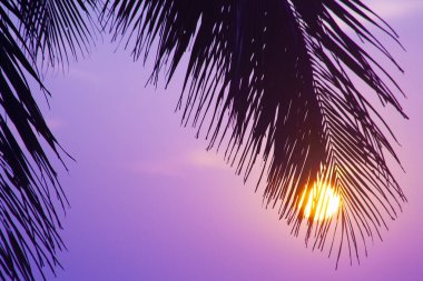 Varkala 'da gün batımına karşı avuç içi siluetleri. Kerala, Hindistan