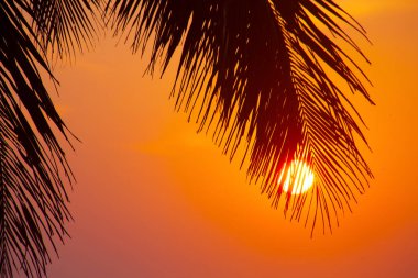 Varkala 'da gün batımına karşı avuç içi siluetleri. Kerala, Hindistan
