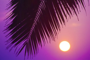 Varkala 'da gün batımına karşı avuç içi siluetleri. Kerala, Hindistan