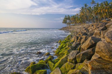 Varkala sahilinin çevresindeki güzel deniz ve palmiyeler, Kerala, Hindistan