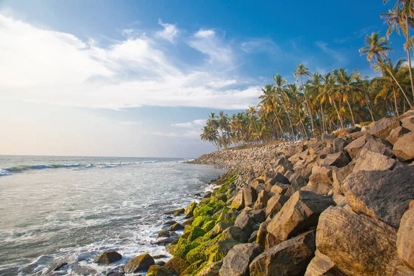 Beautiful Sea Palms Varkala Beach Kerala India — Stock Photo, Image