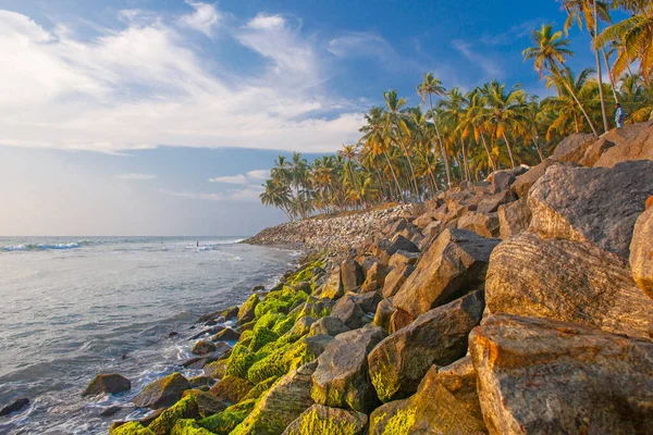 Prachtige Zee Palmen Rond Varkala Strand Kerala India — Stockfoto
