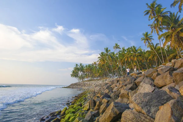 Beautiful Sea Palms Varkala Beach Kerala India — Stock Photo, Image