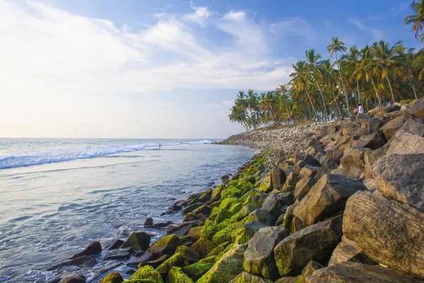 Beautiful Sea Palms Varkala Beach Kerala India — Stock Photo, Image