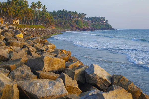 Beautiful Sea Palms Varkala Beach Kerala India — Stock Photo, Image