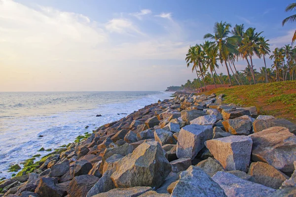 Varkala Sahilinin Çevresindeki Güzel Deniz Palmiyeler Kerala Hindistan — Stok fotoğraf