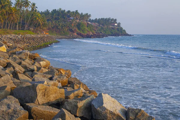 美しい海とヤシの木 Varkala Beach Kerala India — ストック写真