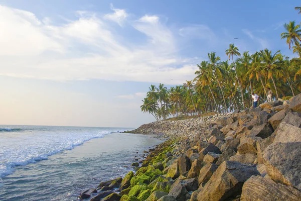 Beautiful Sea Palms Varkala Beach Kerala India — Stock Photo, Image