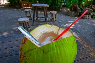 Endonezya 'daki kafede taze hindistan cevizi içmeye hazır.