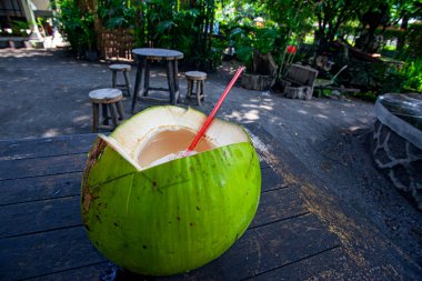 Endonezya 'daki kafede taze hindistan cevizi içmeye hazır.