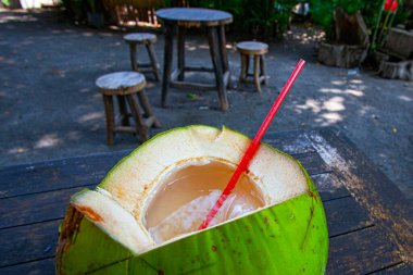 Endonezya 'daki kafede taze hindistan cevizi içmeye hazır.