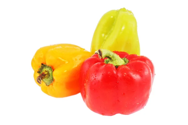Colored Paprika Pepper Isolated White Background — Stock Photo, Image