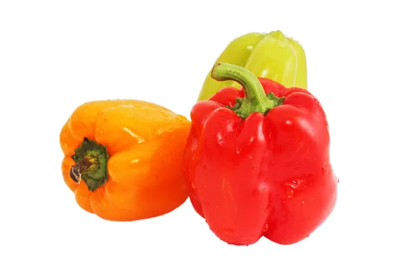 Színes Paprika Bors Izolált Fehér Alapon — Stock Fotó