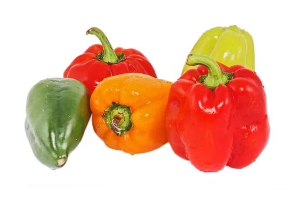 Colored Paprika Pepper Isolated White Background — Stock Photo, Image