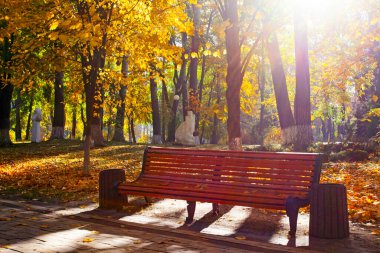 Parktaki altın sonbahar boyunca güneşli bir gün