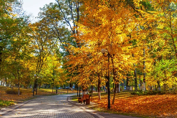 Sonniger Tag Goldenen Herbst Park — Stockfoto