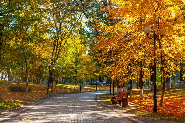 Słoneczny Dzień Podczas Złotej Jesieni Parku — Zdjęcie stockowe