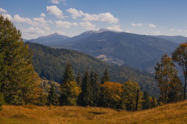 Karpat dağlarında güzel bir sonbahar başlangıcı, Ukrayna
