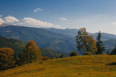 Karpat dağlarında güzel bir sonbahar başlangıcı, Ukrayna