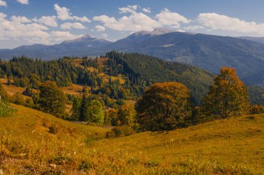 Karpat dağlarında güzel bir sonbahar başlangıcı, Ukrayna