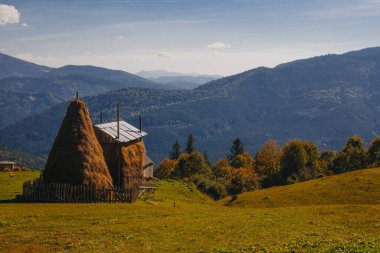 Sonbaharın başlarında Karpat dağlarında saman yığını, Ukrayna