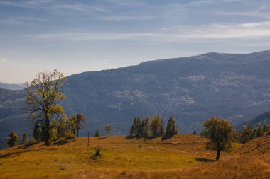 Karpat dağlarında güzel bir sonbahar başlangıcı, Ukrayna