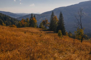 Karpat dağlarında güzel bir sonbahar başlangıcı, Ukrayna