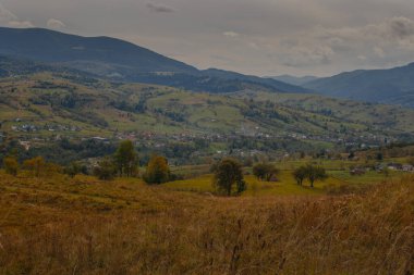 Karpat dağlarında güzel bir sonbahar başlangıcı, Ukrayna