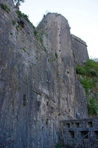 Ancient Buildings Historical Walls Biggest Fiord Adriatic Sea Kotor — Stock Photo, Image