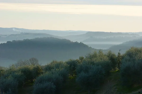 Зелені Пагорби Туман Винний Завод Тоскані — стокове фото