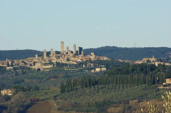 Colinas Verdes Con Niebla Bodega Toscana —  Fotos de Stock