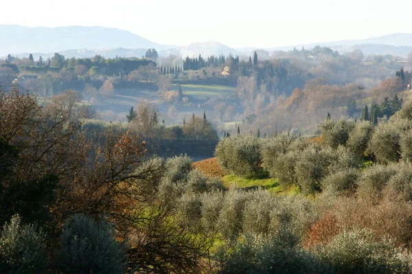 Зеленые Холмы Туманом Винодельней Тоскане — стоковое фото