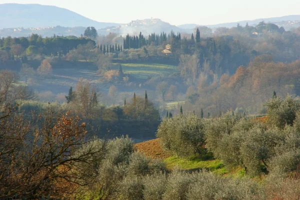 Collines Verdoyantes Avec Brouillard Cave Toscane — Photo