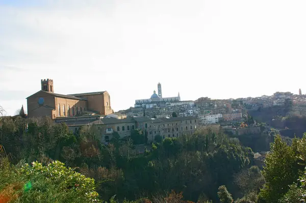 Antiguos Edificios Ciudad Medieval Siena Toscana — Foto de Stock