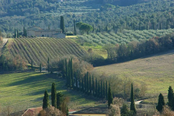 Colline Verdi Con Nebbia Cantina Toscana — Foto Stock