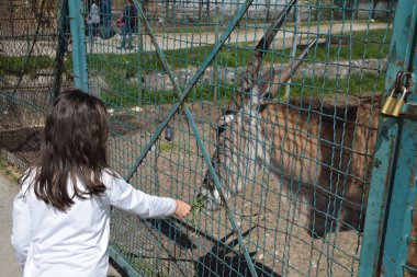 Çocuklu Hayvanlar Hayvanat Bahçesi 