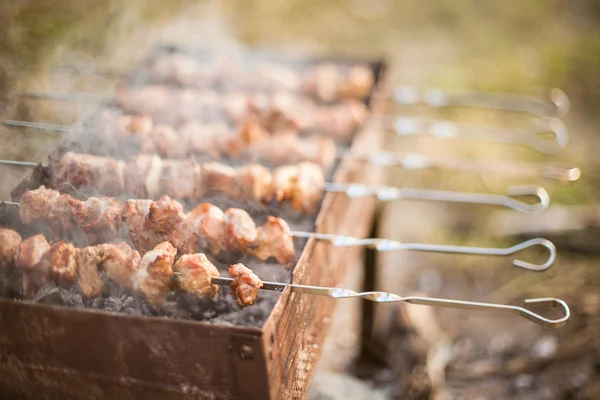 Cocinar Carne Fuego Con Enfoque Selectivo Shish Kebab Parrilla Jardín —  Fotos de Stock