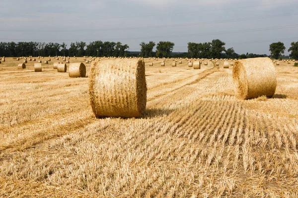 Champ Récolté Avec Des Balles Paille Été Images De Stock Libres De Droits