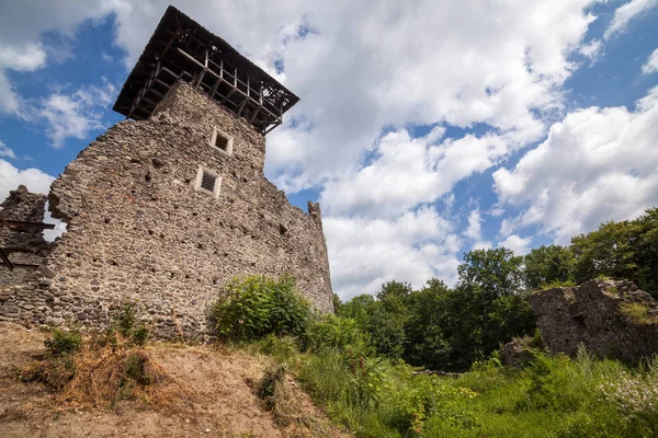 Ruinas Del Castillo Nevytske Región Transcarpathian Torre Principal Del Homenaje —  Fotos de Stock