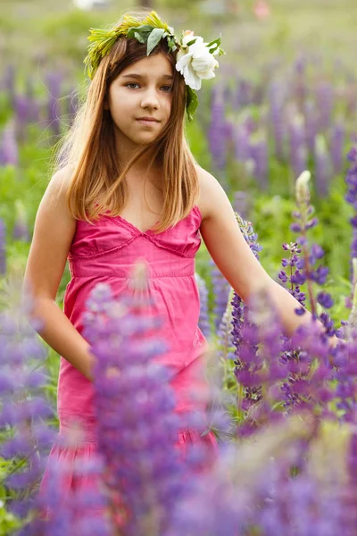 Beautiful Girl Smiling Pink Dress Lupins Field Blooming Lupines Field — Stock Photo, Image