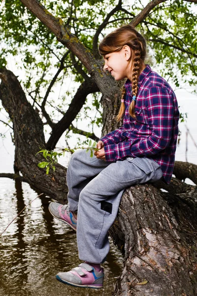 Retrato Una Chica Con Coletas Encuentra Una Rama Árbol —  Fotos de Stock