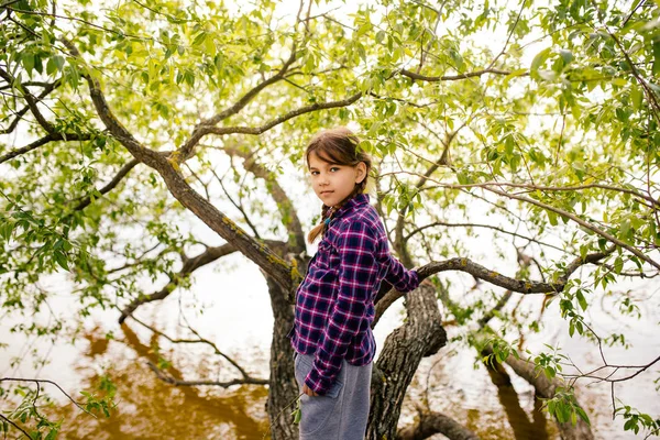 Portrait Serious Girl Pigtails Standing Tree Branch — Stock Photo, Image
