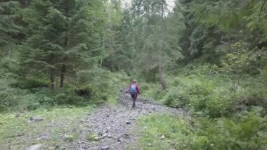 Ormanı geçerken sırt çantası ile orman Traveler kadınlarda hiking turist iz