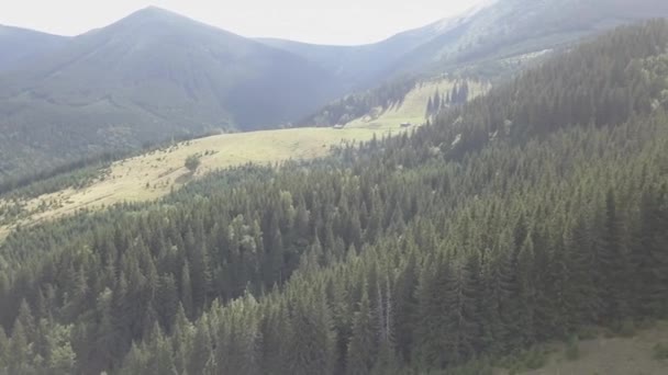 Εναέρια Άποψη Για Καλοκαίρι Καρπάθια Βουνά Κοντά Στο Χωριό Dzembronya — Αρχείο Βίντεο