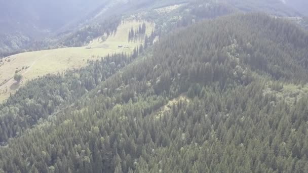 Vista Aérea Las Montañas Los Cárpatos Verano Cerca Aldea Dzembronya — Vídeo de stock